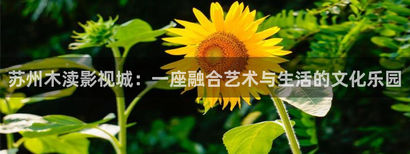 uu影院官网