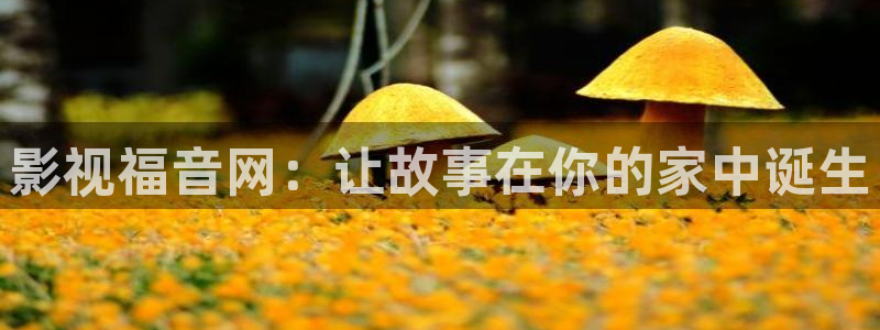 uu影院官网：影视福音网：让故事在你的家中诞生