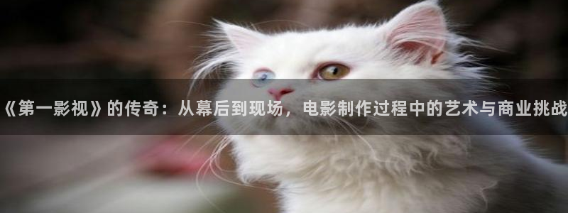 eeuus影院