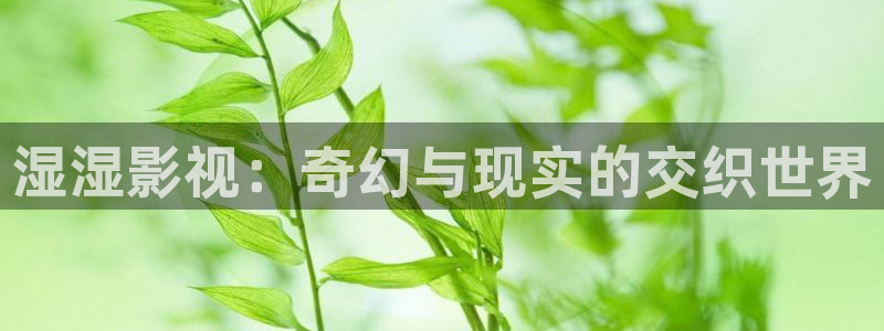 秋霞电影院26uuu
