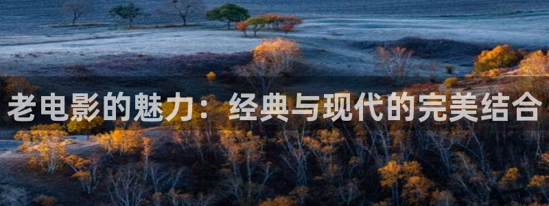 奇米影视26uuu