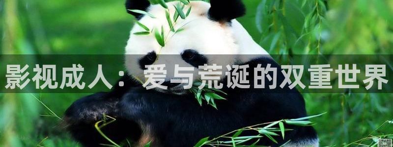 奇米影视26uuu